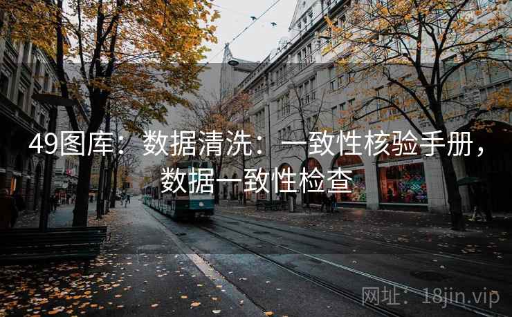 49图库：数据清洗：一致性核验手册，数据一致性检查
